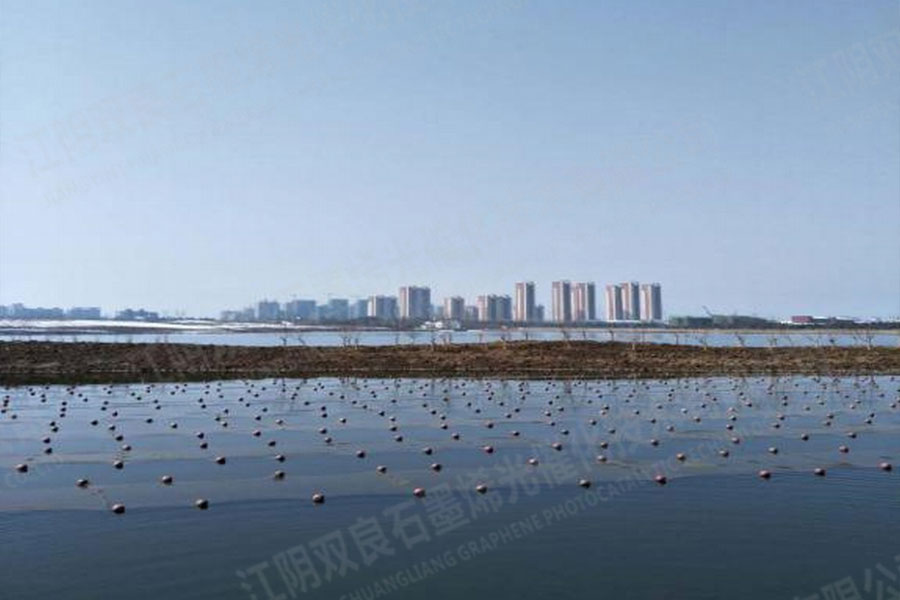 黑臭水体治理-安徽省德阳市大公堰湿地公园前置塘