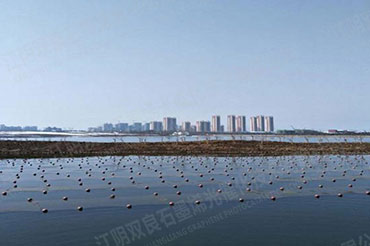 黑臭水体治理-安徽省德阳市大公堰湿地公园前置塘