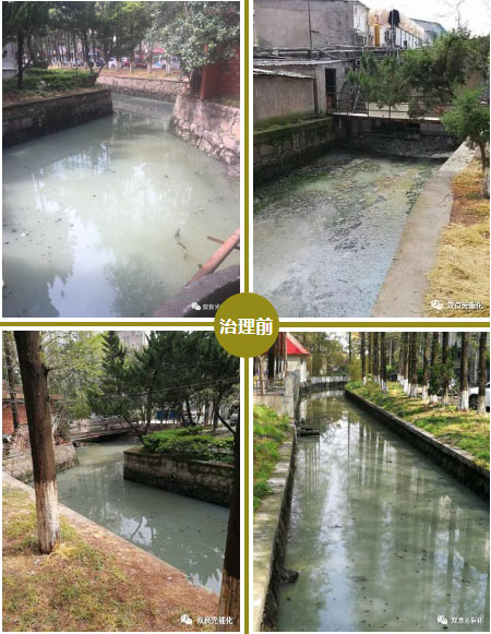 云南昆明投资河路湖泊治理2.88亿元治理阳宗海重要入湖河路