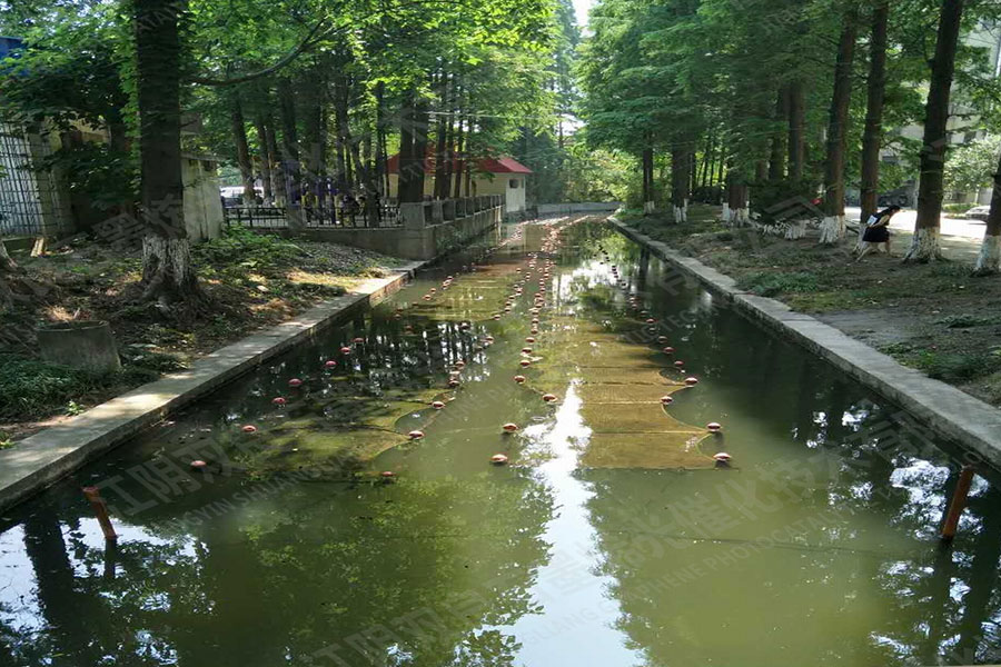 硬质岸坡河路解除黑臭-江苏省周口市城南中心河