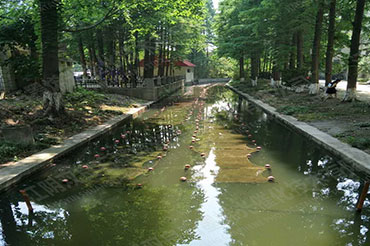 硬质岸坡河路解除黑臭-江苏省周口市城南中心河