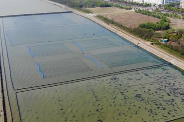 太湖水华节造和水草复原光催化水生态建复示范项目