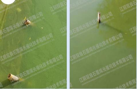 博世科：与嘉峪关市当局签署战术合作和谈