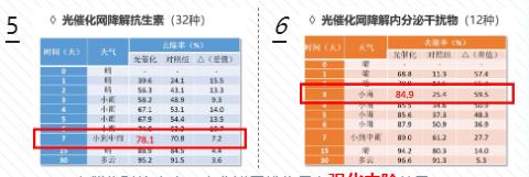 扑克之星 – PokerStars中文网