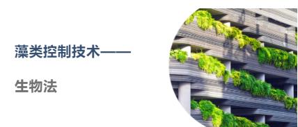 科普幼讲堂第30期 | 藻类节造技术（三）