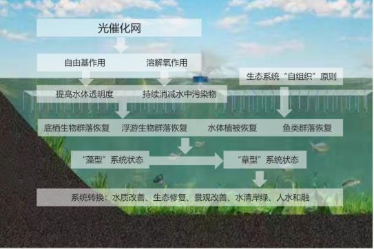 扑克之星 – PokerStars中文网