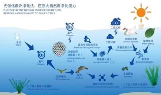 长江生态环境；そǜ础耙皇幸徊摺 驻点跟踪钻研