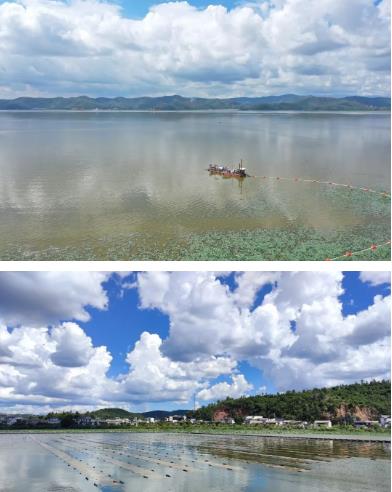 水生态建复技术的重要类型
