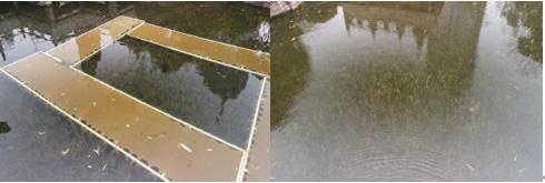 河路治理维修养护技术规程