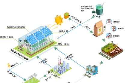 微藻碳中和——藻光一体化解决规划