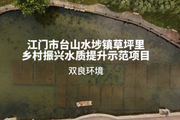 六大水生态建复技术