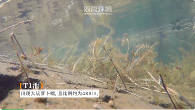 汉阳区饮用水水源地整治一抓到底