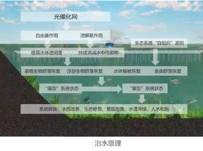扑克之星 – PokerStars中文网