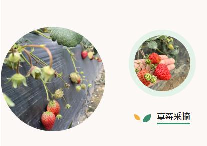 扑克之星 – PokerStars中文网
