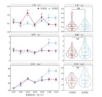 3616f18a0924b2799c922e34b7f064e9 扑克之星 – PokerStars中文网