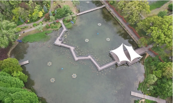 水质提升与生态建复项目-江阴市成都湖公园